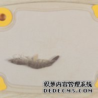 步驟圖:鮮蝦去頭去尾、去殼、去蝦線。蝦的背部和腹部各有一條