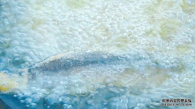 春節(jié)宅家中，捉了盆“水中人參”，寬油大火炸到焦香，很下飯