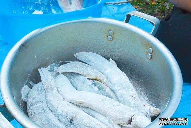 春節(jié)宅家中，捉了盆“水中人參”，寬油大火炸到焦香，很下飯