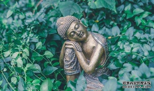 吃得少就能活得更長更健康？研究發(fā)現(xiàn)飲食限制下，壽命和健康壽命并沒有關(guān)聯(lián)