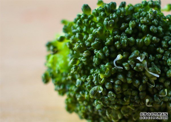防曬光做表面還不夠，教你4個(gè)食療方，在這個(gè)夏天白白噠~
