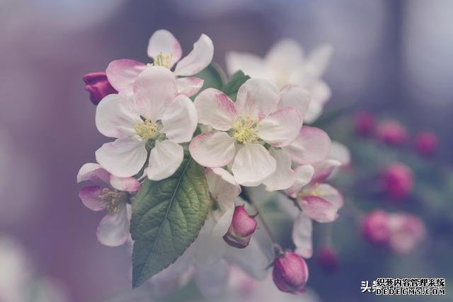 7種心理暗示，讓你保持健康心態(tài)
