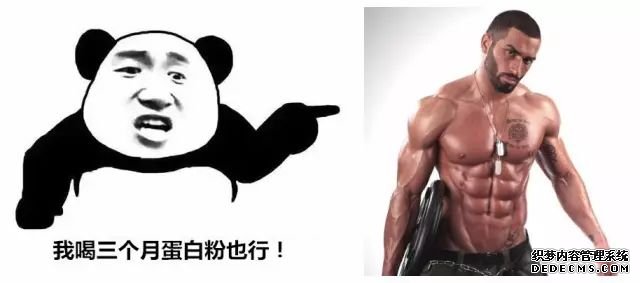 一萬次的想法，比不上你一次全身心的投入到健身當(dāng)中去