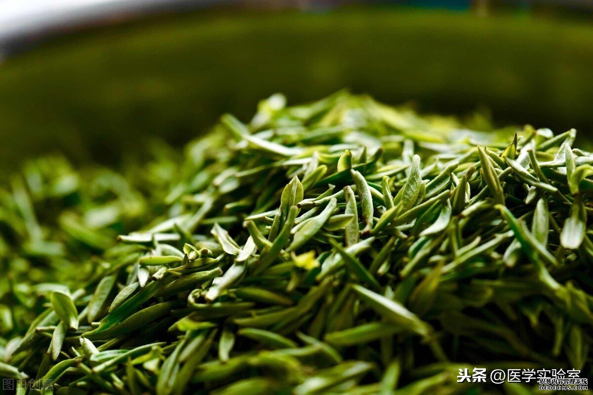 喝茶的“六大禁忌”，會喝茶也要懂茶，不讓茶傷害到自己